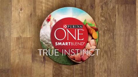 Purina One SmartBlend TV Spot, 'No Corn or Wheat' featuring Sara Van Beckum