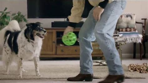 Purina Pro Plan Bright Mind Adult 7+ TV Spot, 'Lady: Mental Sharpness'