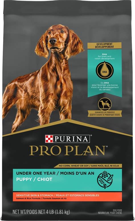 Purina Pro Plan Sensitive Skin & Stomach Salmon & Rice Large Breed Probiotic Dry Puppy Food