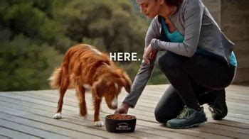 Purina Pro Plan Sport TV Spot, 'Incredible Happens Here' created for Purina Pro Plan