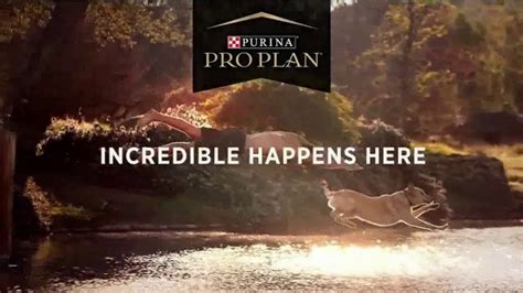 Purina Pro Plan Sport TV Spot, 'It All Starts Here' featuring Michael Blake Kruse