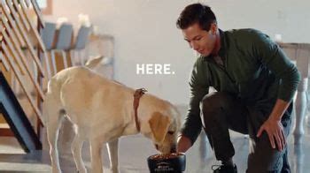 Purina Pro Plan Sport TV Spot, 'It All Starts Here'