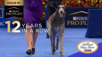 Purina Pro Plan TV commercial - 2022 National Dog Show Best in Show