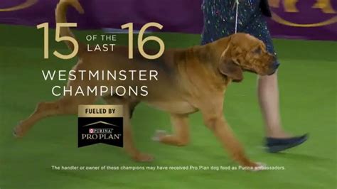 Purina Pro Plan TV commercial - 2022 Westminster Best in Show