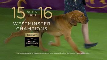 Purina Pro Plan TV Spot, '2023 Westminster Best in Show'