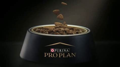 Purina Pro Plan TV Spot, 'Always Advancing'