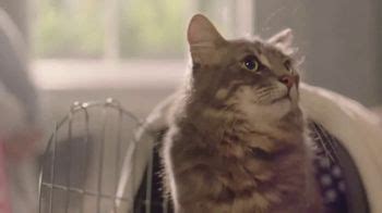 Purina TV Spot, 'Petfinder: You Care'