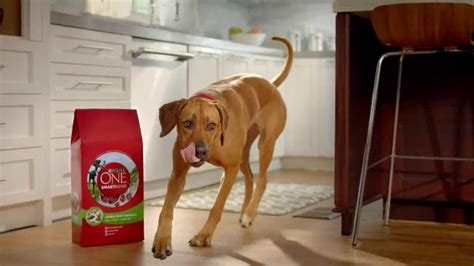 Purina TV Spot, 'Purina Cares About Clean Eating'