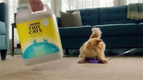 Purina Tidy Cats Breeze TV Spot, 'A Clean Routine' created for Purina Tidy Cats