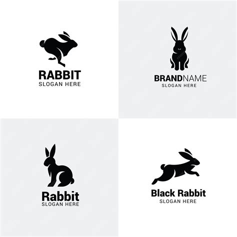Rabbit Content photo
