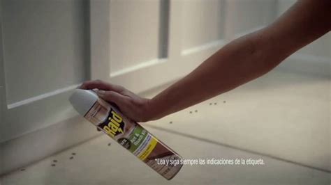 Raid Ant & Roach Killer TV Spot, 'Vaso' created for Raid