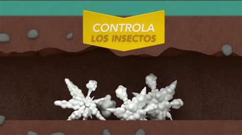 Raid TV Spot, 'Gane La Guerra Contra Las Hormigas'