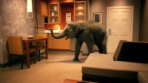 Residence Inn TV Spot, 'Elephant' created for Residence Inn