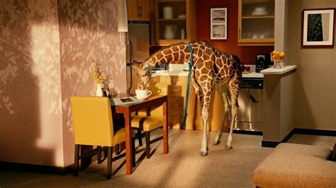 Residence Inn TV Spot, 'Penguins'