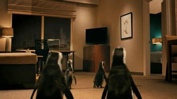 Residence Inn TV commercial - Penguins