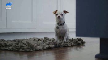 Resolve Carpet Cleaner TV Spot, 'Animal Planet: Thor' created for Resolve Carpet Cleaner