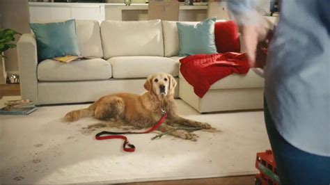 Resolve Pet Expert TV commercial - Pet Mess Solved