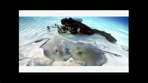 Rolex TV Spot, 'National Geographic: David Doubilet'