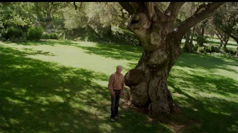 Rosland Capital TV Spot, '200-Year-Old Tree'