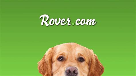 Rover.com TV commercial - Dog People