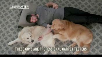 STAINMASTER TV Spot, 'Professional Carpet Testers: Charlie and Bodie' created for STAINMASTER