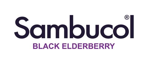 Sambucol Original Black Elderberry Formula tv commercials