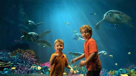 SeaWorld One Adventures TV Spot created for SeaWorld