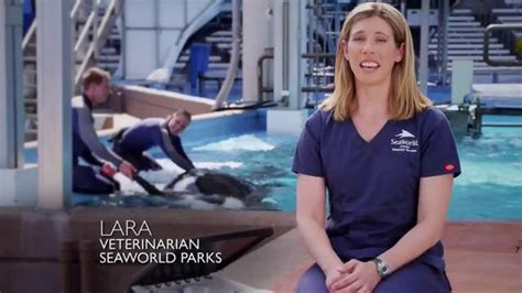 SeaWorld TV commercial - Facts about SeaWorlds Killer Whales