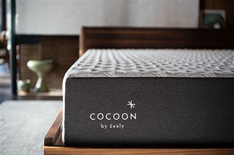 Sealy Cocoon logo