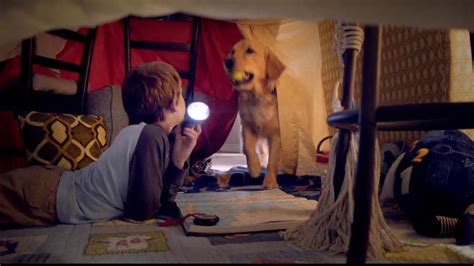 Sentry Fiproguard Max TV Spot, 'Your Pet'