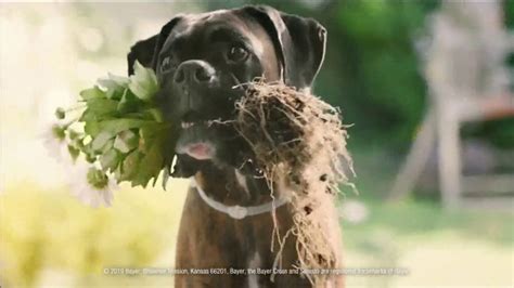 Seresto TV commercial - Whatever Your Dog Brings Home