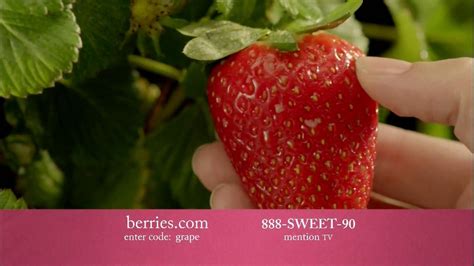 Shari's Berries TV Spot, 'The Season's Most Unforgettable Gifts' featuring Alyssa Rittorno