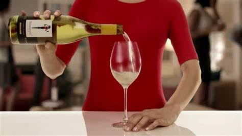 SkinnyGirl Wine Collection TV Spot