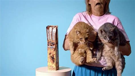 Slim Jim TV commercial - Cats