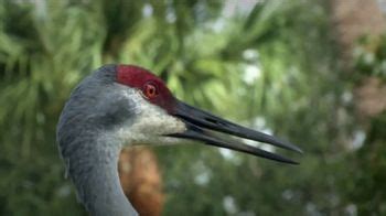 Smithsonian Conservation Biology Institute TV Spot, 'Bird' Ft. Jimmy Carter
