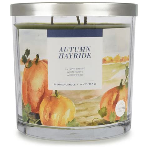 Sonoma Goods for Life Autumn Hayride 14-oz. Candle Jar