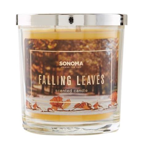 Sonoma Goods for Life Falling Leaves 14-oz. Candle Jar tv commercials