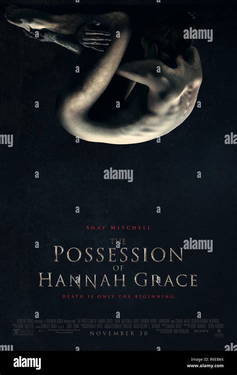 Sony Screen Gems The Possession of Hannah Grace logo