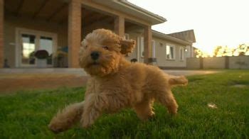 Stanley Steemer TV Spot, 'Forgive Your Best Friend'