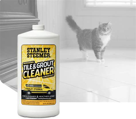 Stanley Steemer Tile and Grout Cleaning logo