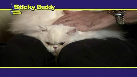 Sticky Buddy TV commercial - Fluffy Cat