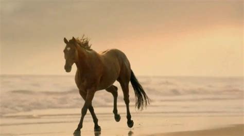 Strongbow TV Spot, 'Slow Motion Horse' featuring Francisco Froes