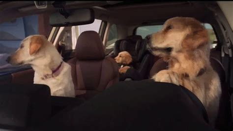 Subaru A Lot to Love Event TV commercial - Make a Dogs Day