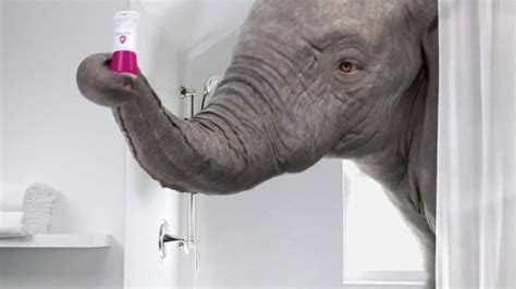 Summers Eve Active TV commercial - The Elephant in the Bathroom: Feminine Hygiene