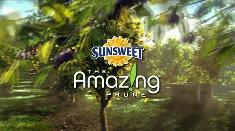 Sunsweet Plum Amazins TV Spot, 'Great on Anything'