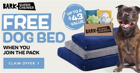 Super Chewer Barkfest in Bed Box logo