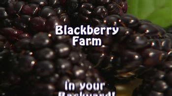 Sweet Dream Blackberries TV Spot