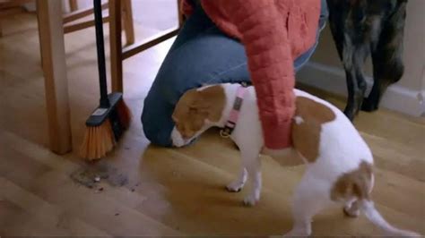 Swiffer TV Spot, 'Pet Hair Removers For The Slacks' Pet Messes' created for Swiffer