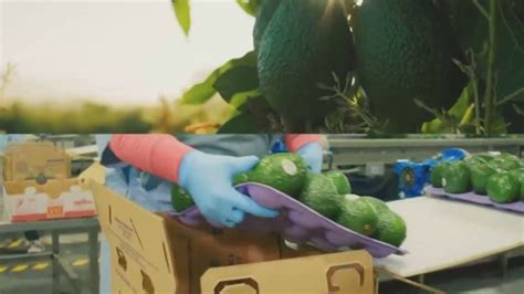 Sysco TV Spot, 'Adversity'