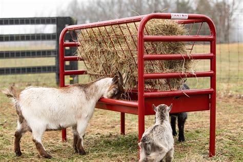 Tarter Farm & Ranch Equipment Dura Tough Small Animal Feeder photo